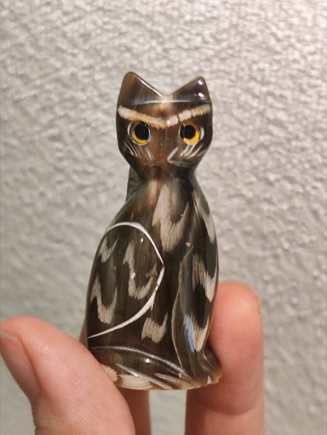 猫猫头鹰 