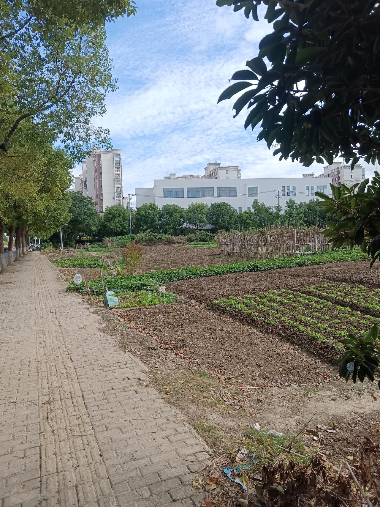 所谓的阶层跃迁，到头来不过是一场空。
从小在外求学，大学毕业后又辗转到上海打拼，