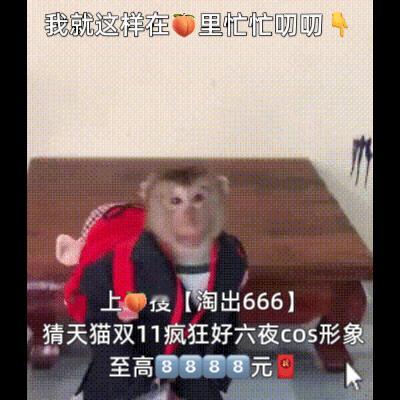 天猫双11疯狂好六夜阵容官宣 巧克力 孟子义嫡长狗 好羡慕孟子义的小狗哇，天猫双