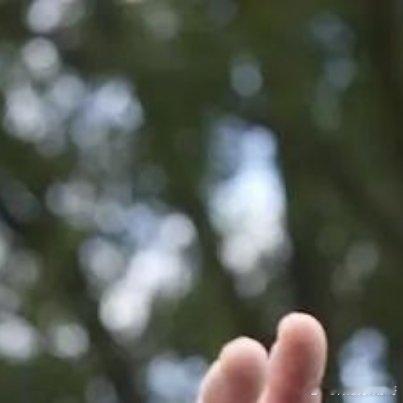开路先锋号[超话]当地时间8月11日，美国总统特朗普发表讲话称，将把华盛顿特区警