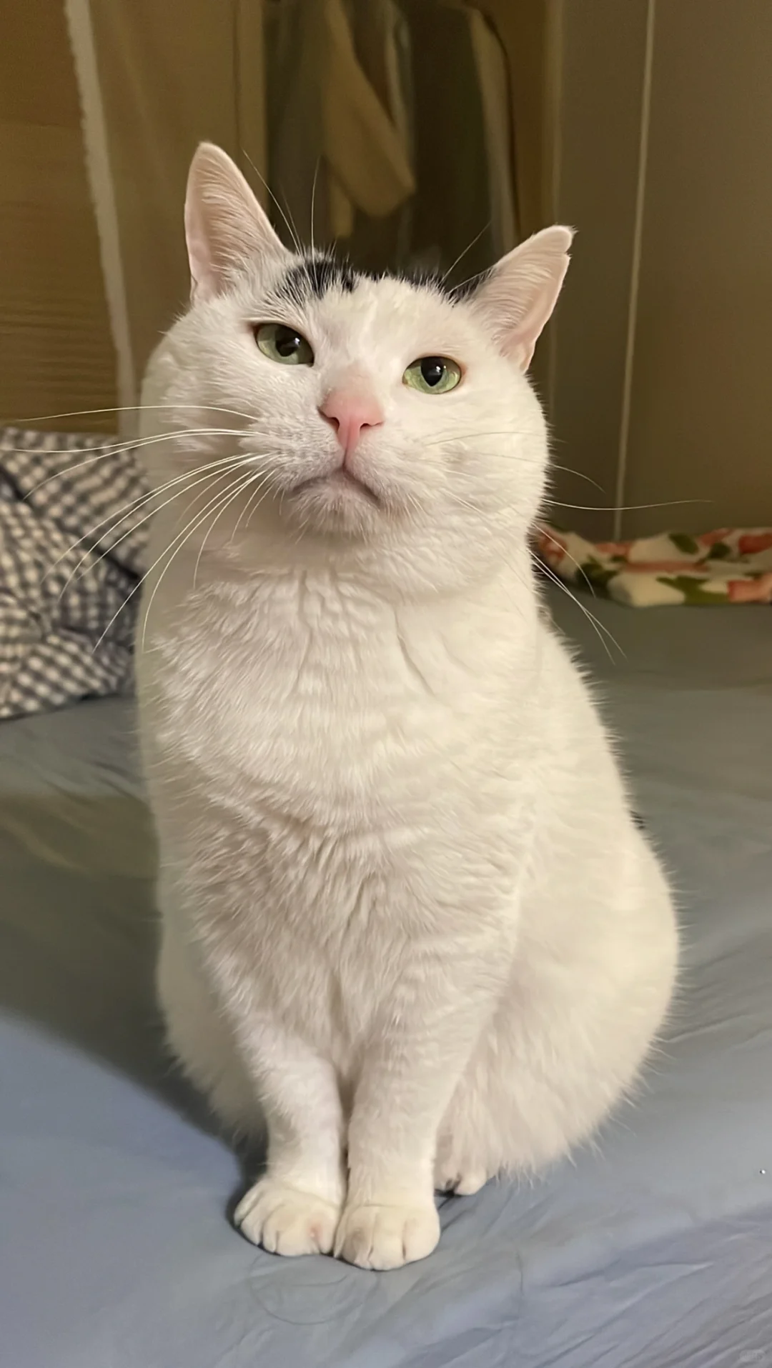 淡淡的死感。。。