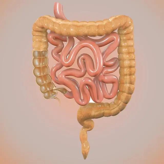 便秘困扰？四招助你畅快排便，总有一款适合你

便秘的缓解方法和建议非常全面且实用