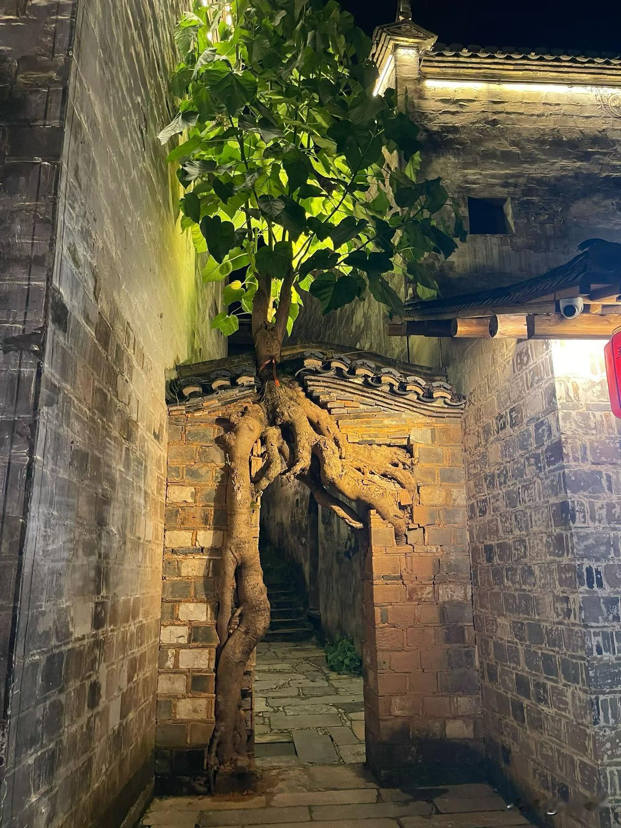 不和别人较真，
因为不值得，
不和自己较真，
因为已经到了伤不起的年纪，
不和往