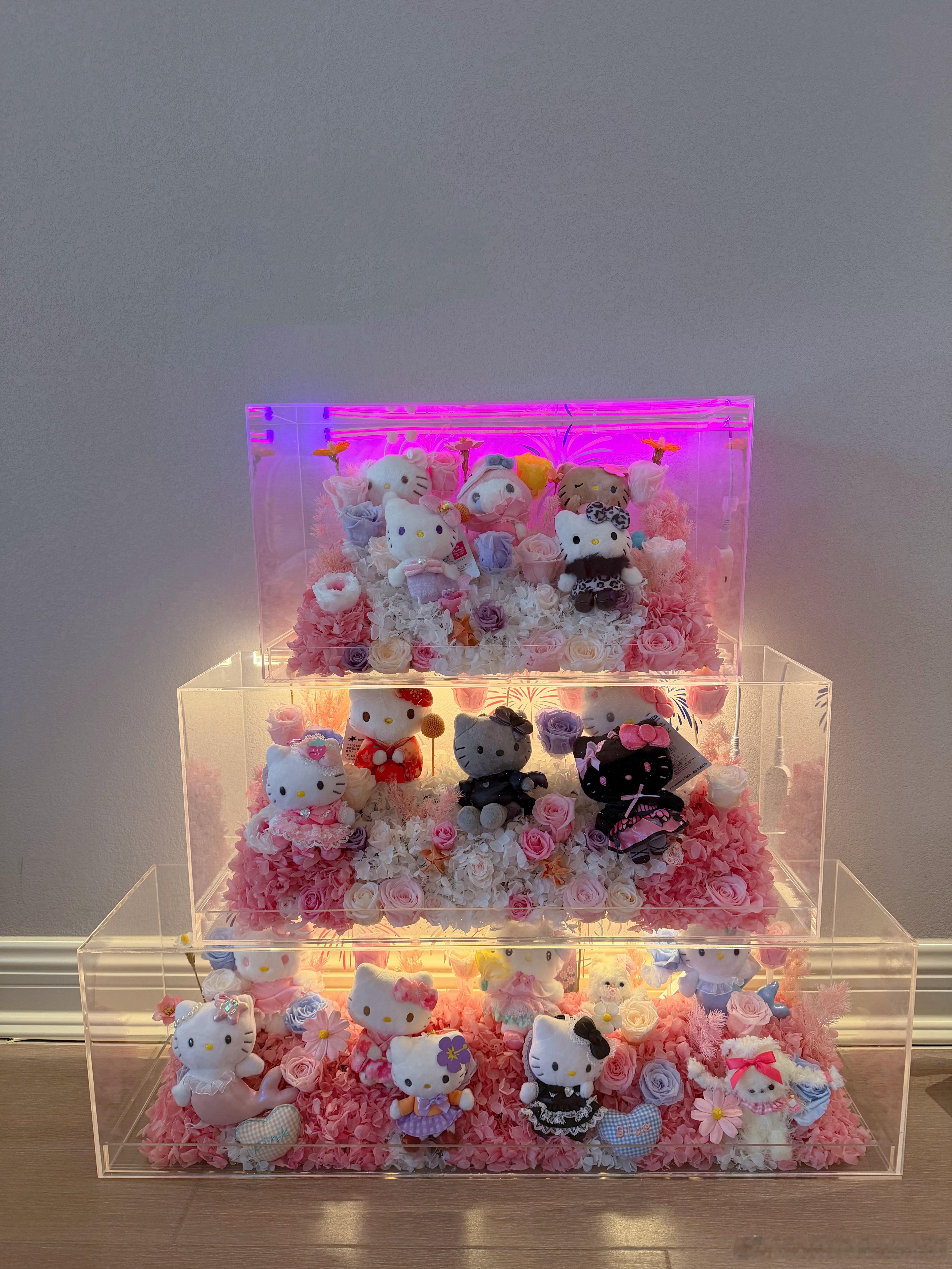 Kitty帝国 