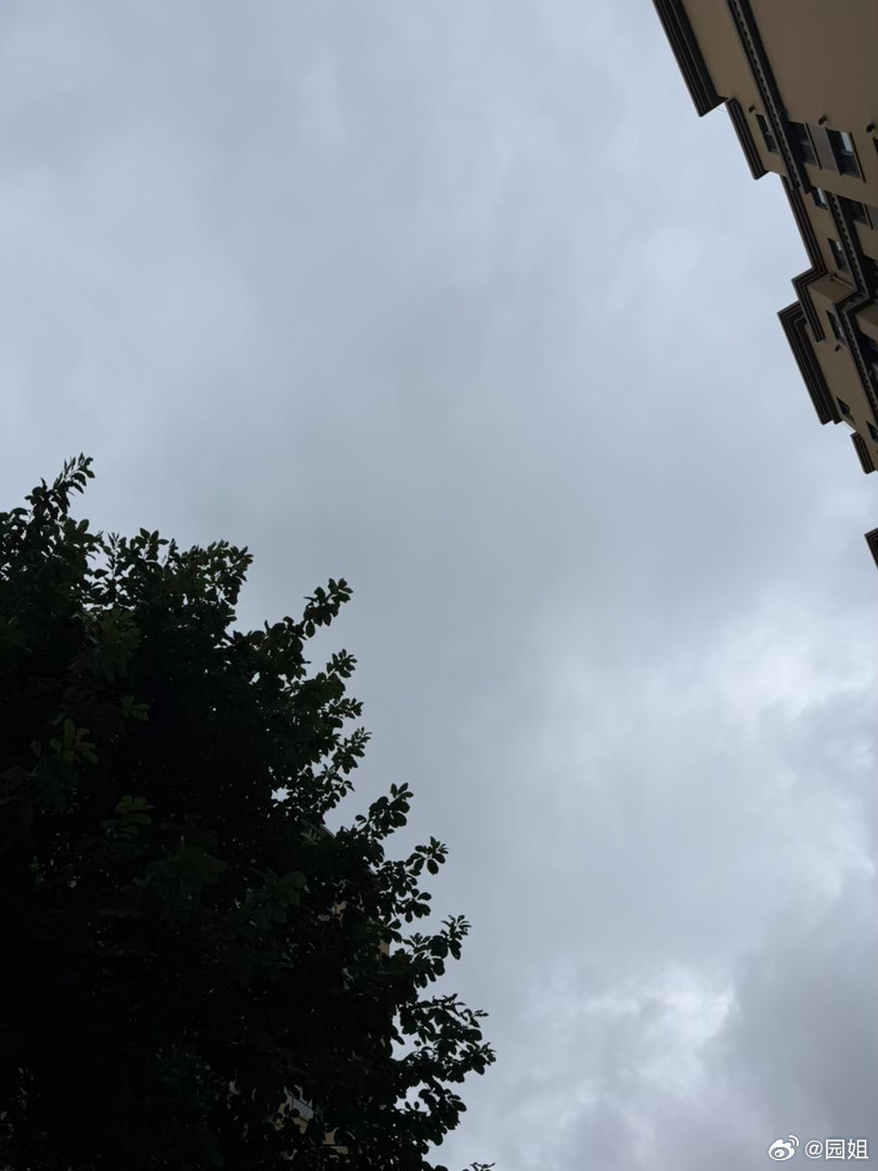 丹东这天气看起来也要下雨了，现在可平静了，有种大雨前的节奏