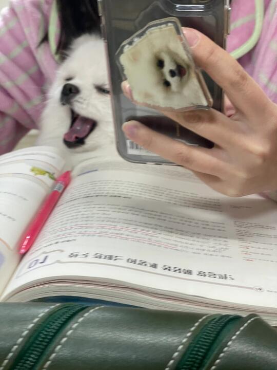 以后别叫我陪你一起学习行吗