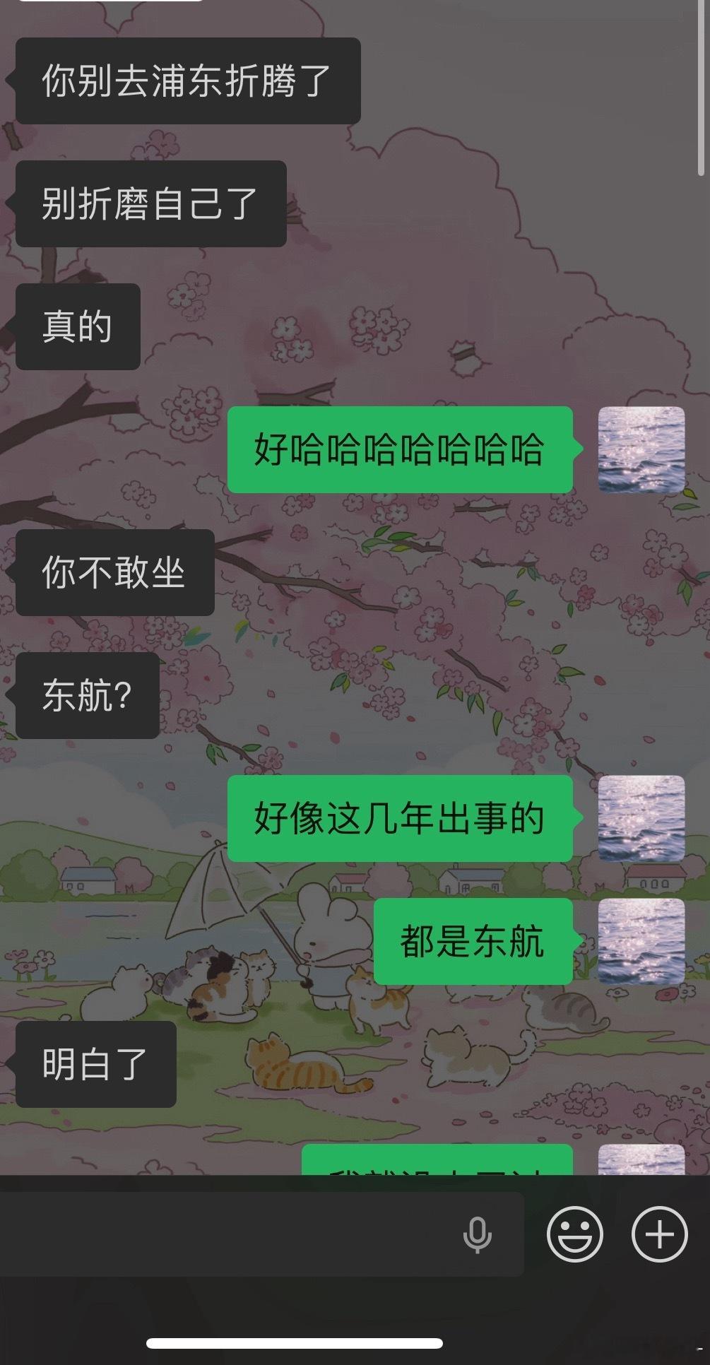 和我朋友交流一番又默默改到虹桥浦东感觉不适合我这种卡点人士。 