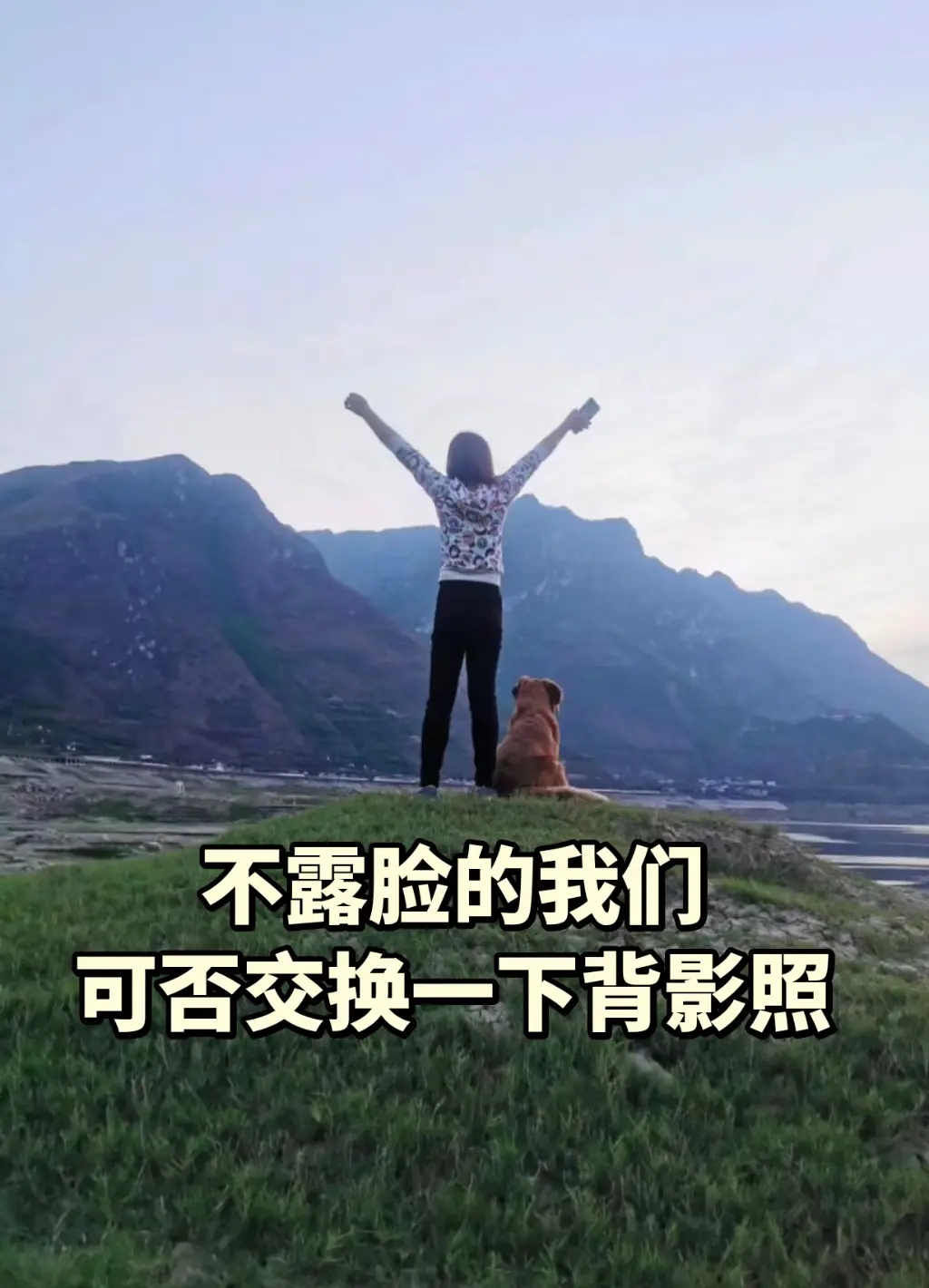 与狗狗玩耍 与狗狗的日常