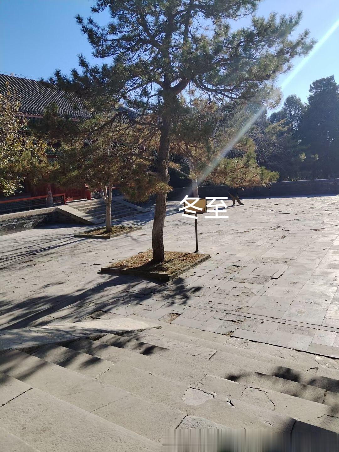 冬至，一起健脾吧！#论道岐黄##国医的精诚力量# 【节气养生】明日冬至，冬至“大