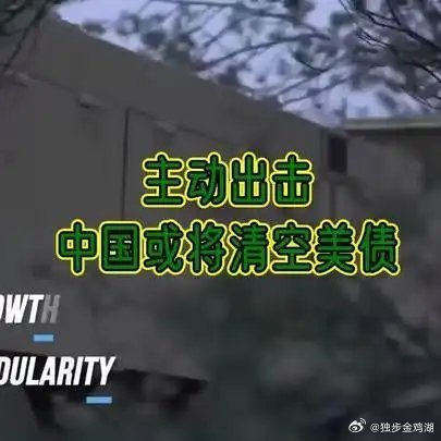 《主动出击！中国或将清空美债》播放量：713作者：行者观文网页链接