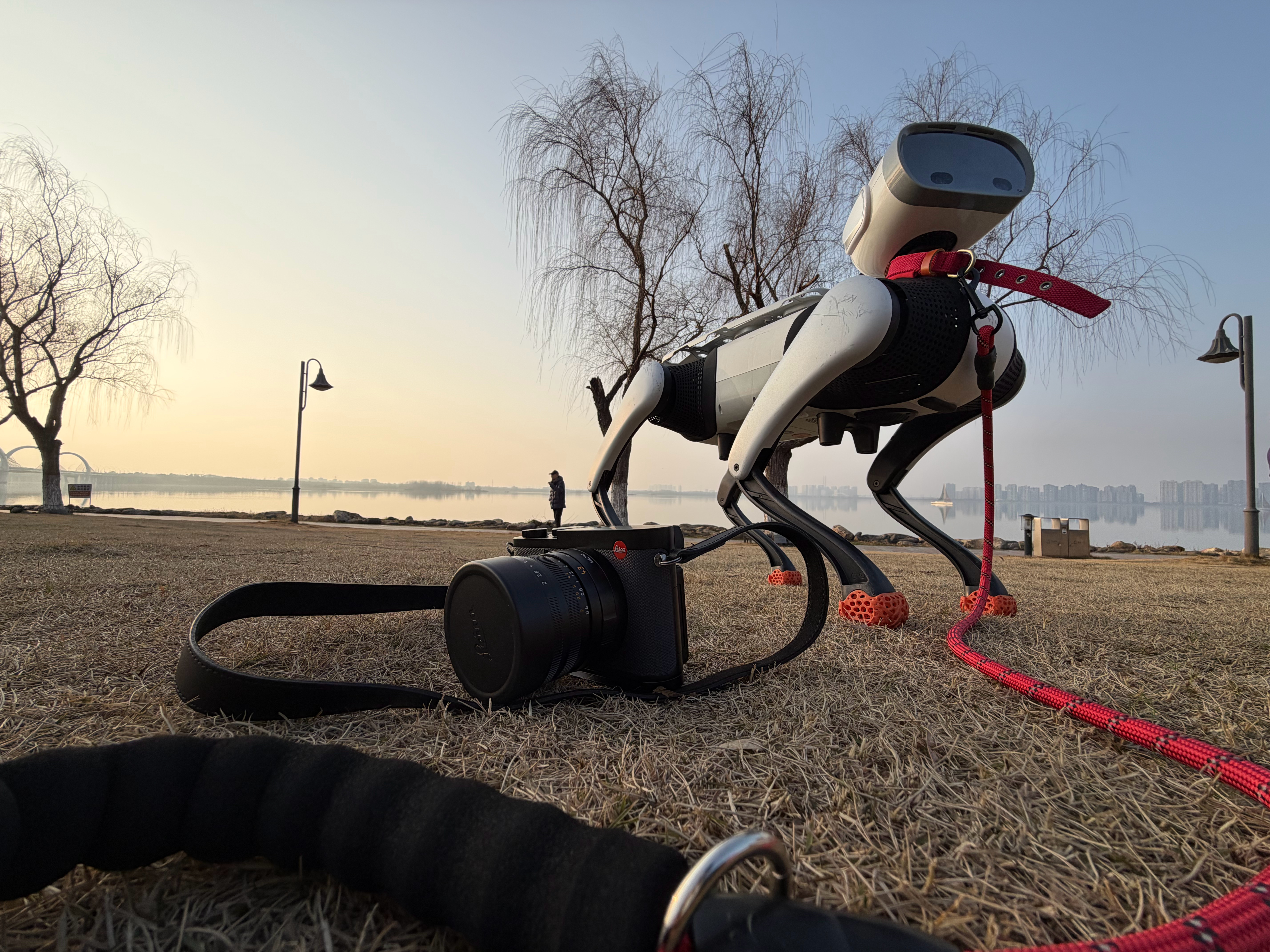 出门溜大头，真的是i人社死100遍…太难为我了….过个有ai年机器人春节大赏vb
