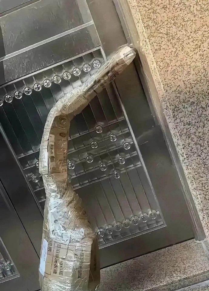 下班回家，在电梯口被邻居的快递给震住了！[惊呆]
大家快帮我瞅瞅，这到底是个啥？