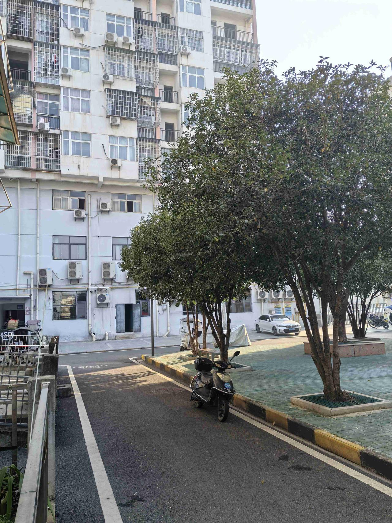 带定位晒今日生活 今天状态轻松愉快，鄂州这大晴天简直太给面子啦！上午去江边溜达了