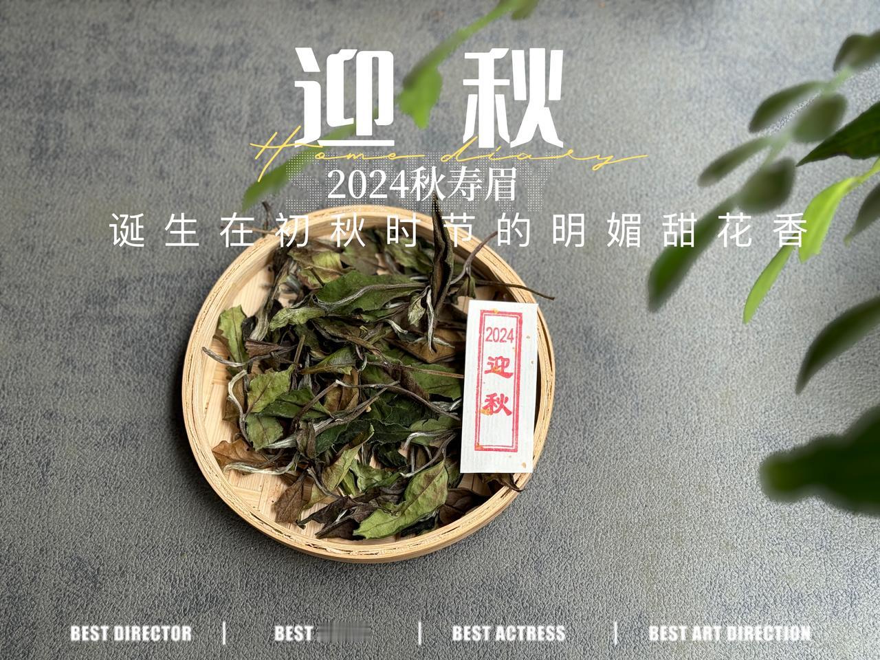秋寿眉太老了，白茶都要买嫩的？
大家都说茶叶要买嫩的，但这可不是挑白茶的金科玉律