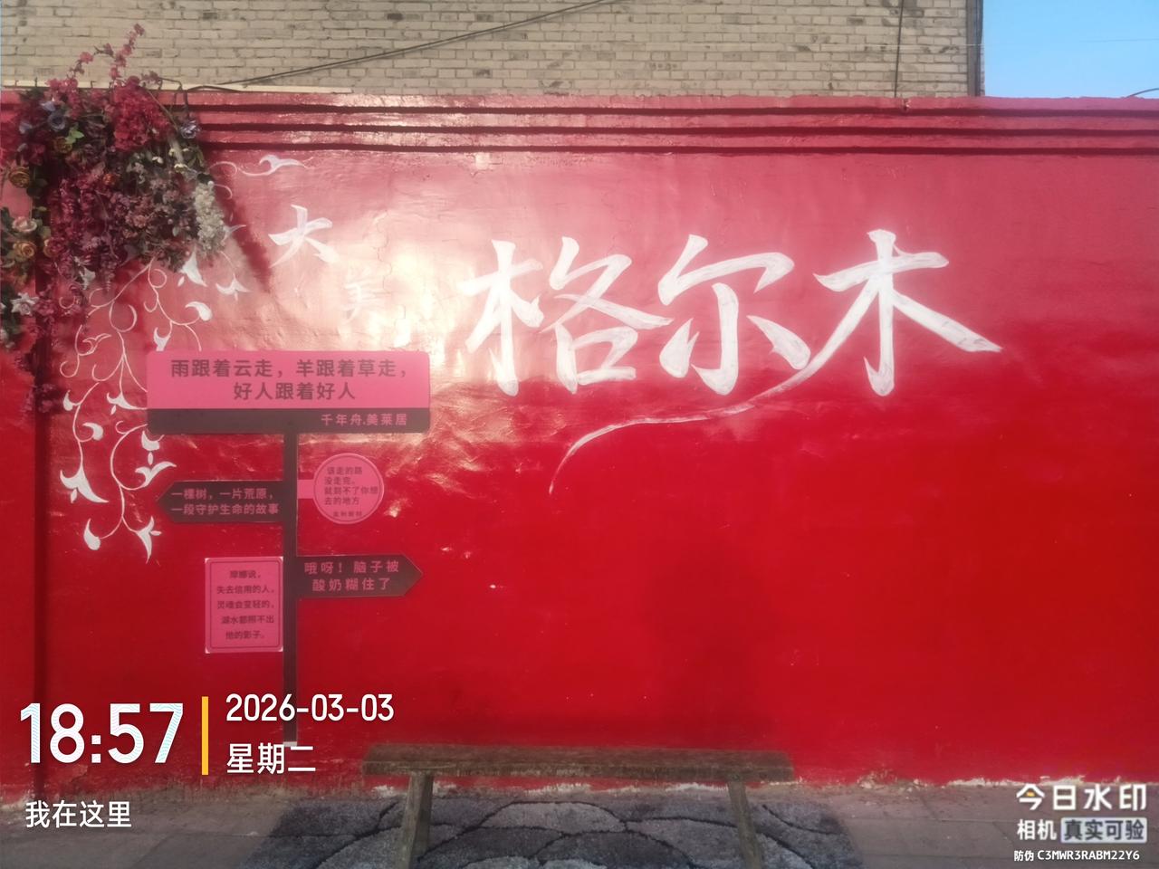 致生命树：国家写你的一封情书
 
我以山河为纸，以岁月为墨，写下这封，给高原、给