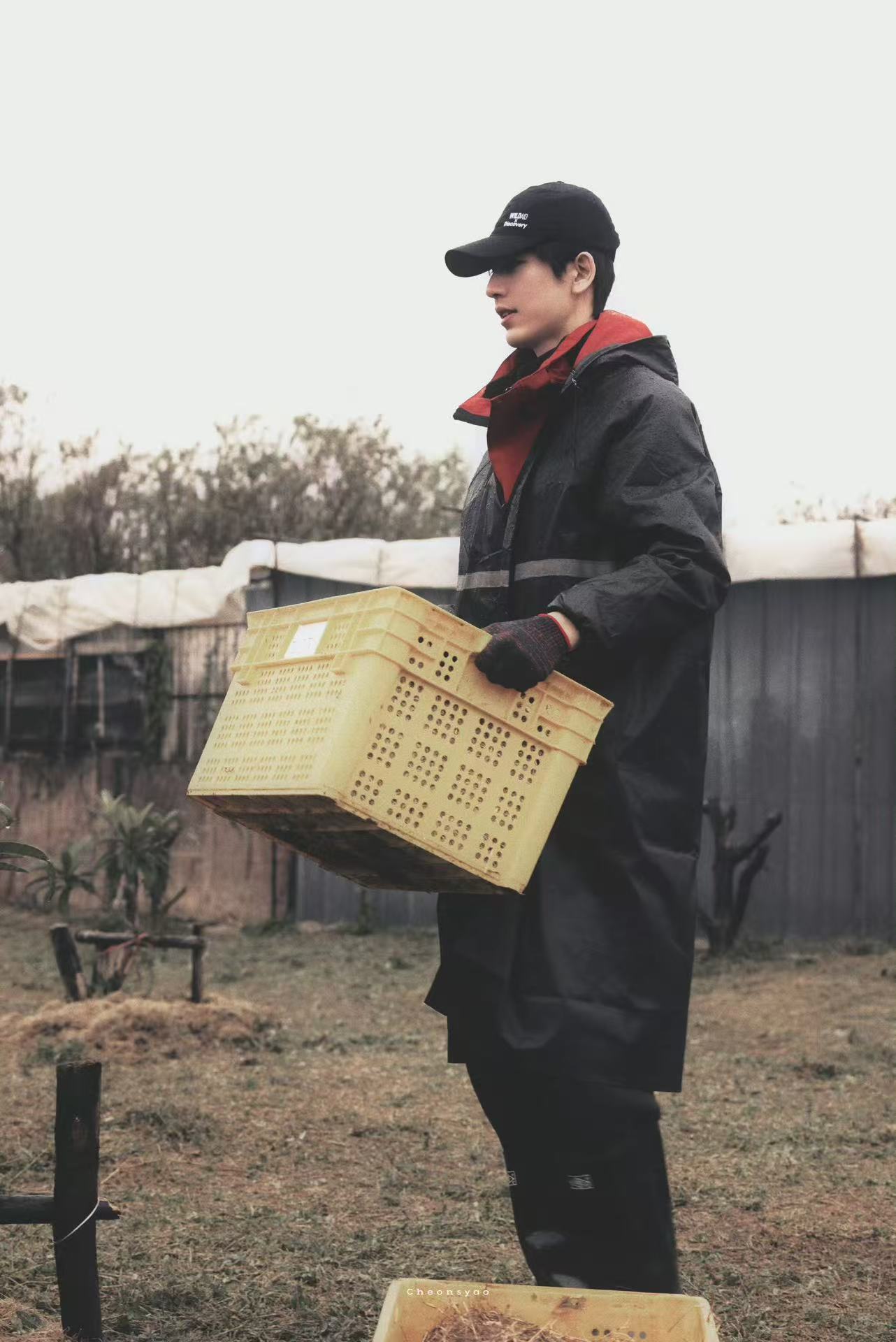 张工来我家和我一起收稻谷呗张凌赫小时候是学校合唱团的张凌赫幼年形态已经很完美了