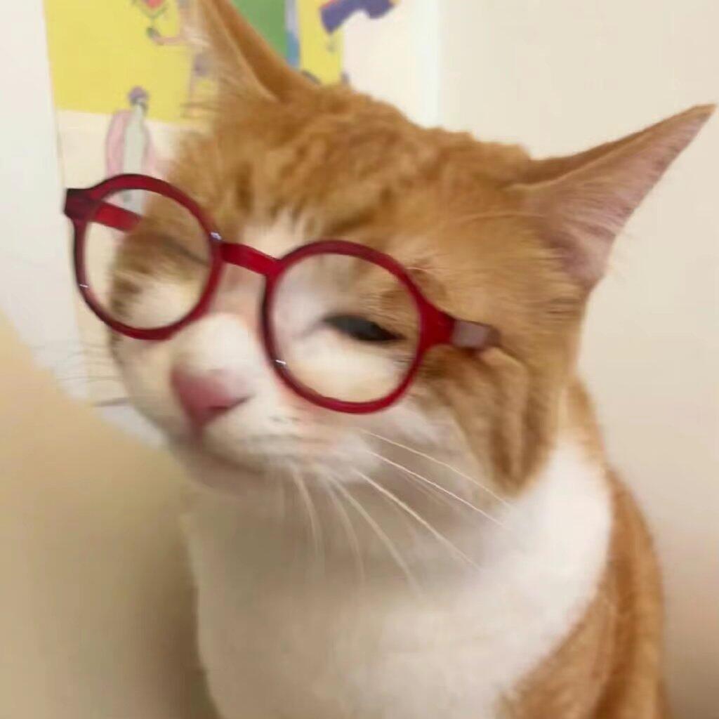 𐑺 Ⲕⲓⲧⲧⲉⲛ ⲙⲉⲙⲟ ฅ⁺ ⁎˚ ഒ小猫备忘录📝 