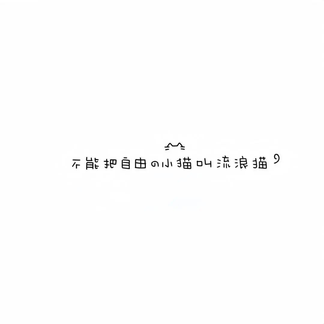 .⋅𐙚ྀ * 𝒊𝒏𝒔风简约白底背景图 ੭ ​​​