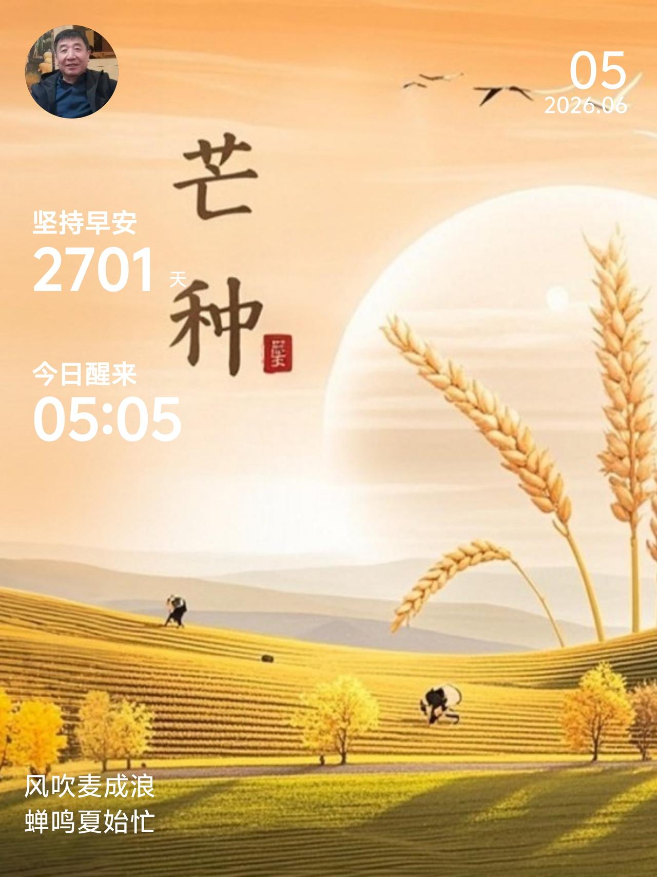 坚持晨起，拥抱清晨的清风与朝阳。抛开懒觉的安逸，在安静的晨间读书、运动、整理心绪