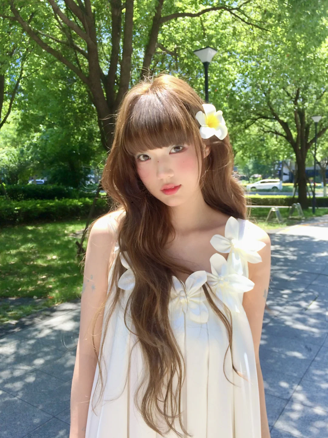 夏日​🍏 ∗ ₊˚𖤐 *. ⋆
