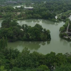 光伏出口退税突然取消，A股光伏和电池板块应声跳水——这哪是政策调整，分明是给市场