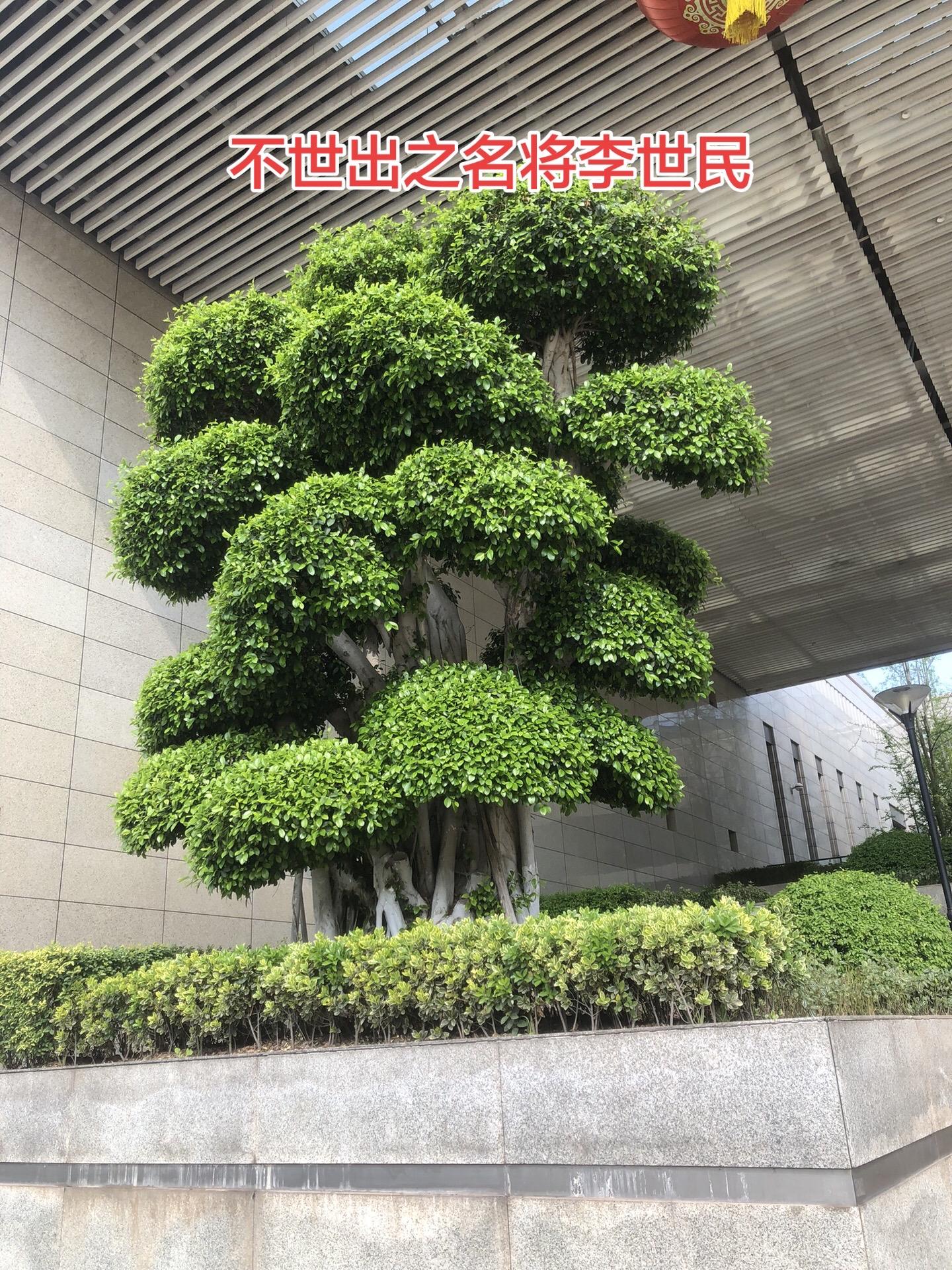 隋朝末年，天下大乱，李渊趁乱开始争夺天下，这其中最大的功劳就是他的二子...