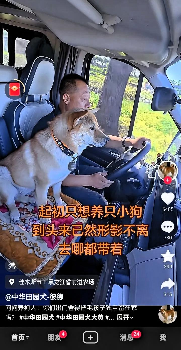 温馨的一幕！黑龙江的一个货车司机吐槽，自己当初就是想养只小狗有个陪伴，万万没想到
