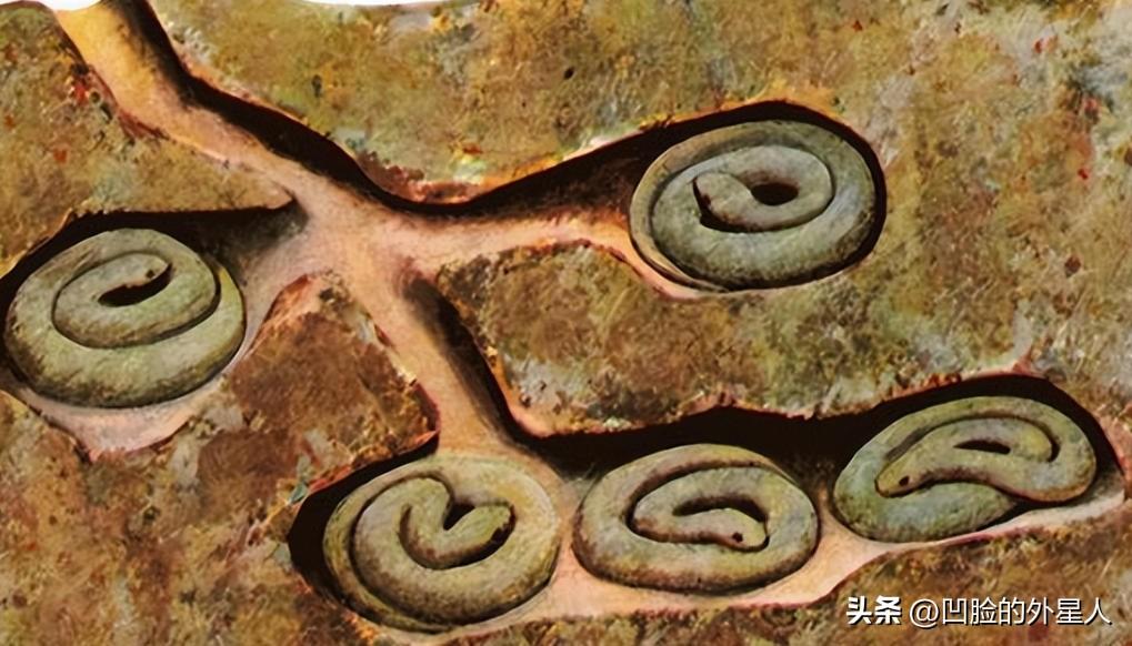 蛇冬眠的时候有多危险？一位与蛇打了半辈子交道的捕蛇人说得直白：90%的人都想不明