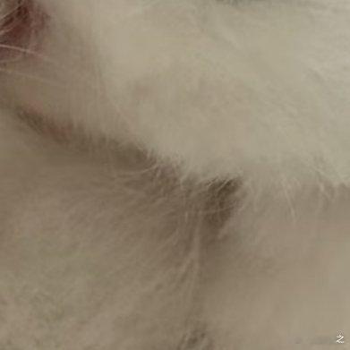 这么小就处对象？哈哈哈哈哈 