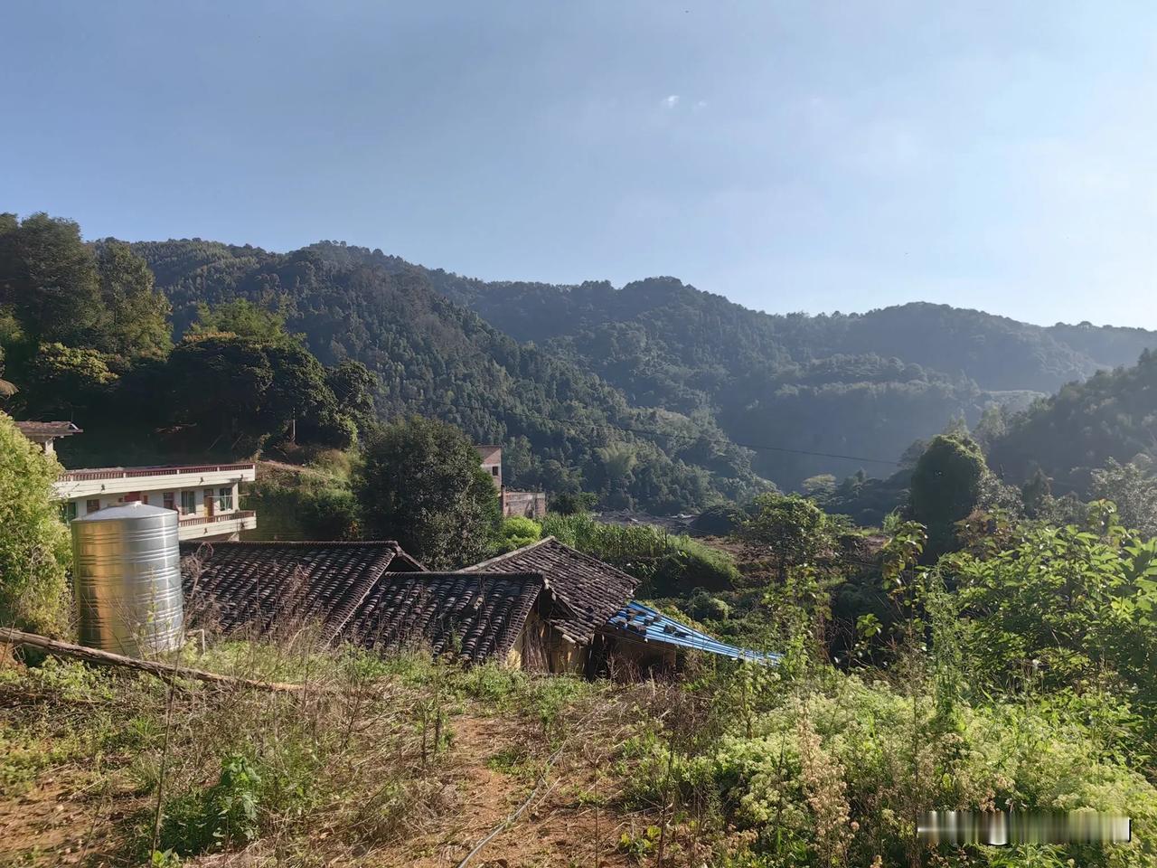 山间小路，绿意盎然，心旷神怡。