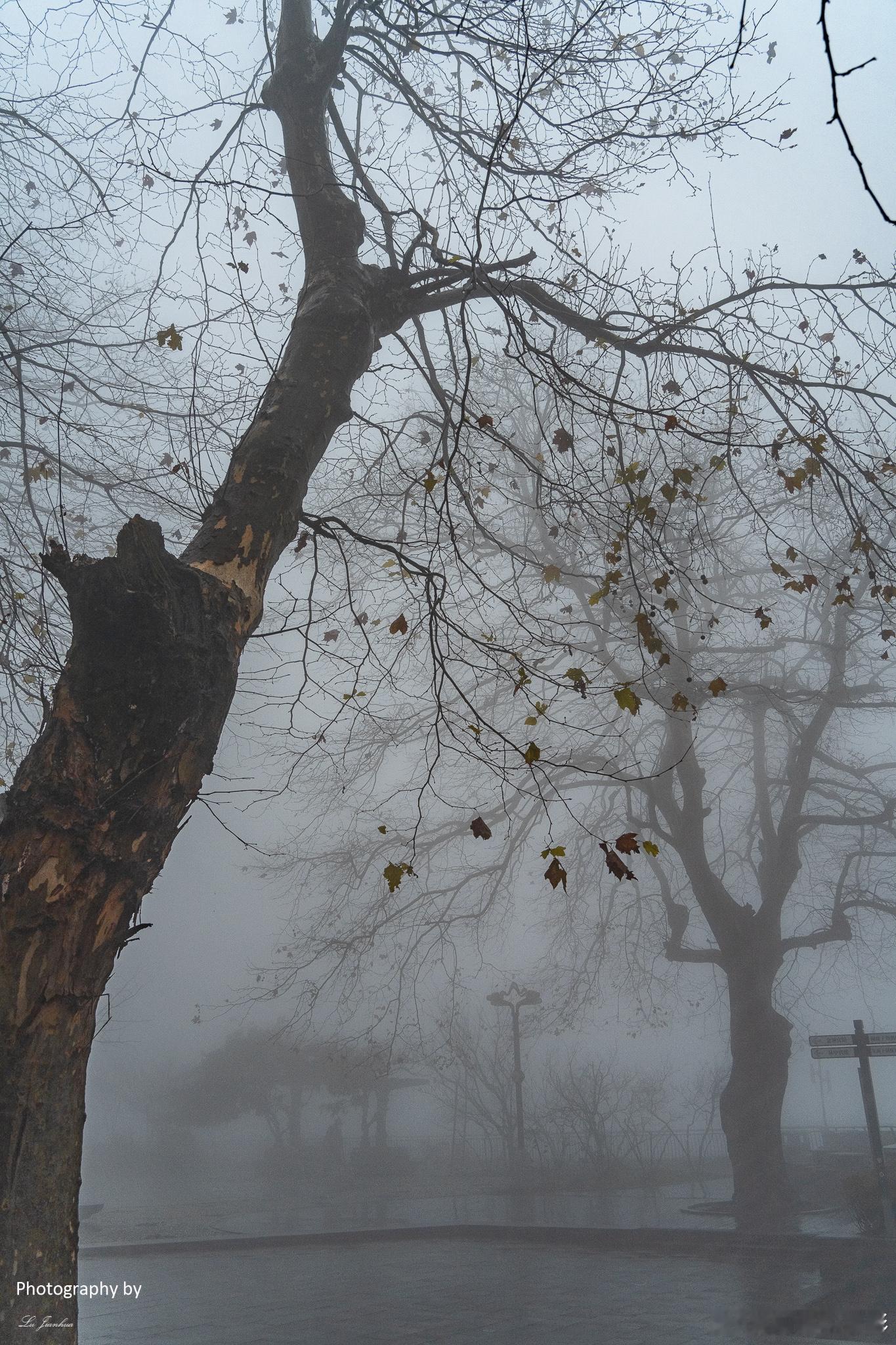 ❄️【冬日庐山行记】云海茫茫，烟雨朦胧，庐山之美尽在其中！📷这次冬游江西庐山，