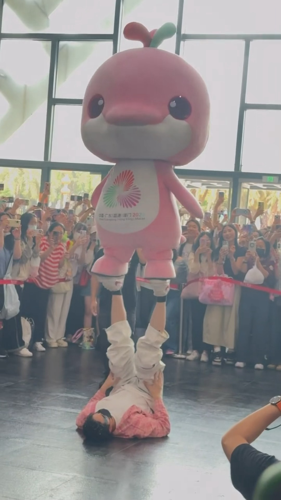 妈呀大湾鸡已经进化成这样了吗😨😨大湾鸡耍杂技