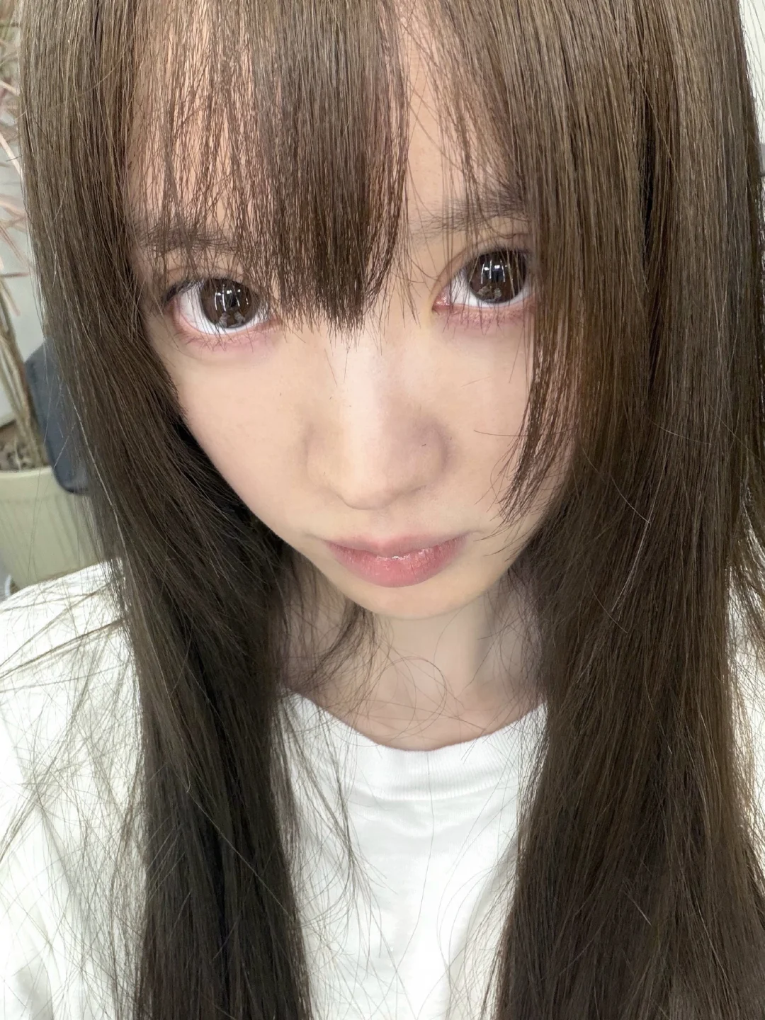 栗子小猫🐱