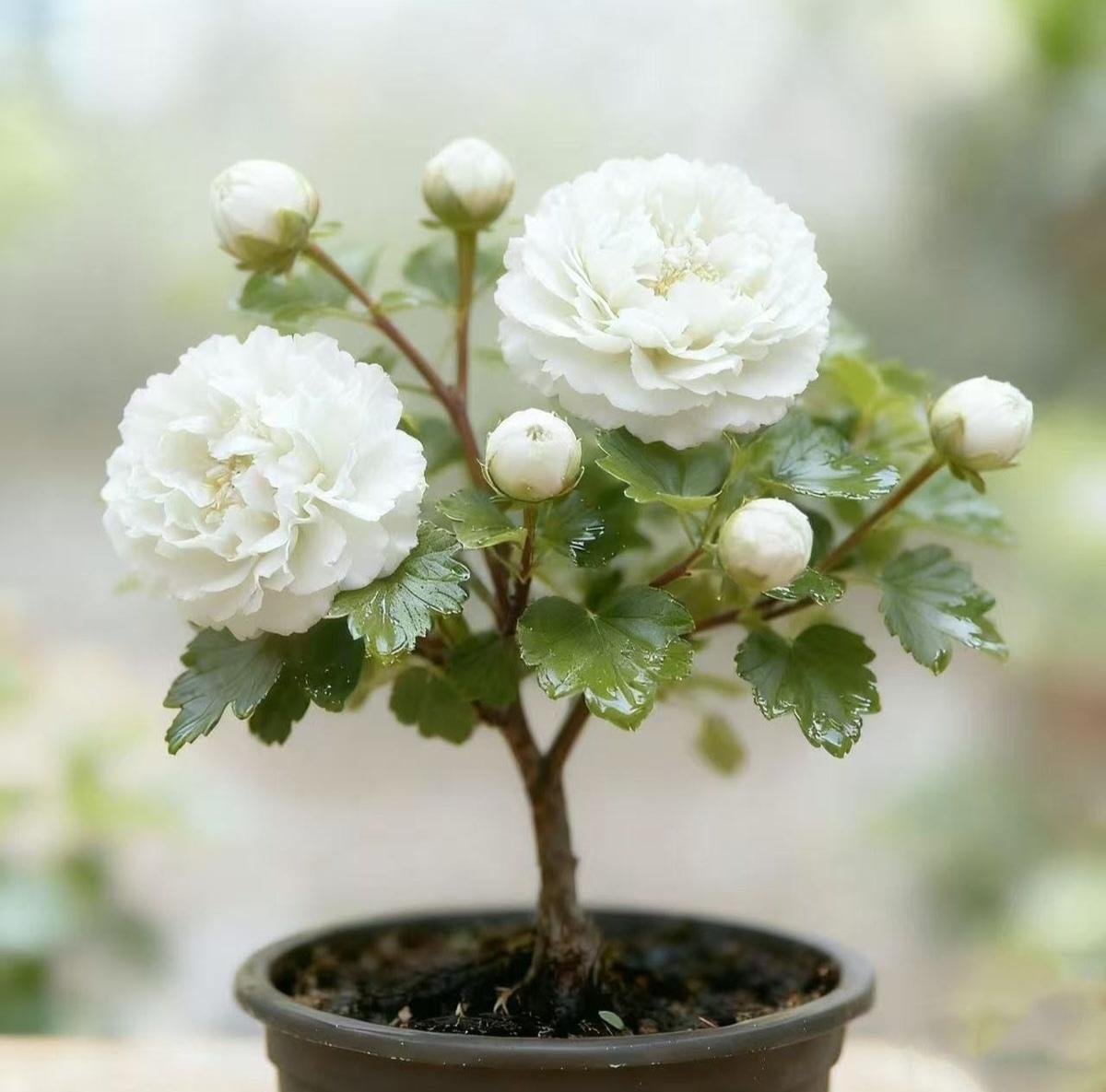 并非惊讶，而是：
忆起去年清明，表弟蹲在爷爷坟前，啃着冷馒头，手机蓦地弹出催款短