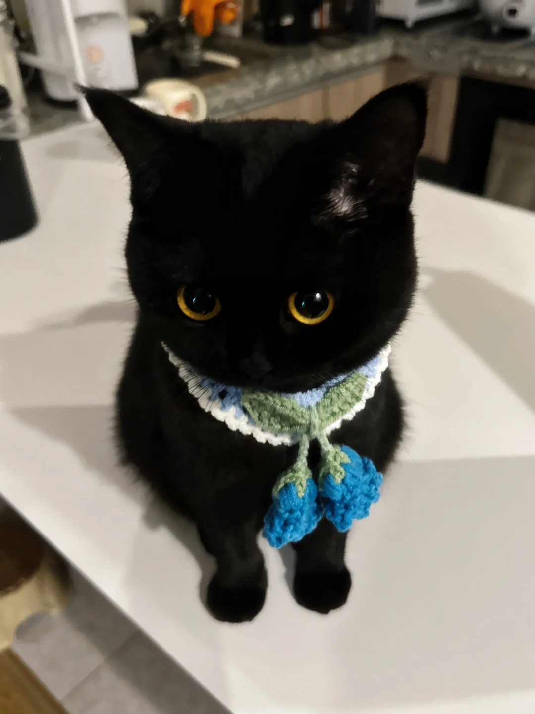 说她长胖了，她就生气了