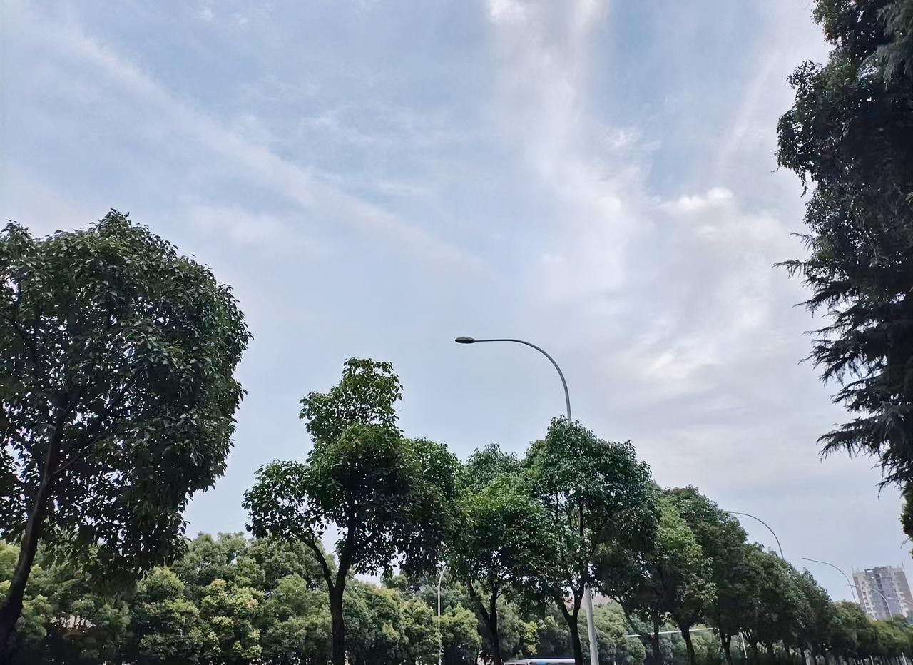 刷到几条大实话，五十多岁的人了，看完心里咯噔一下。

先说上班这事儿。说白了，不