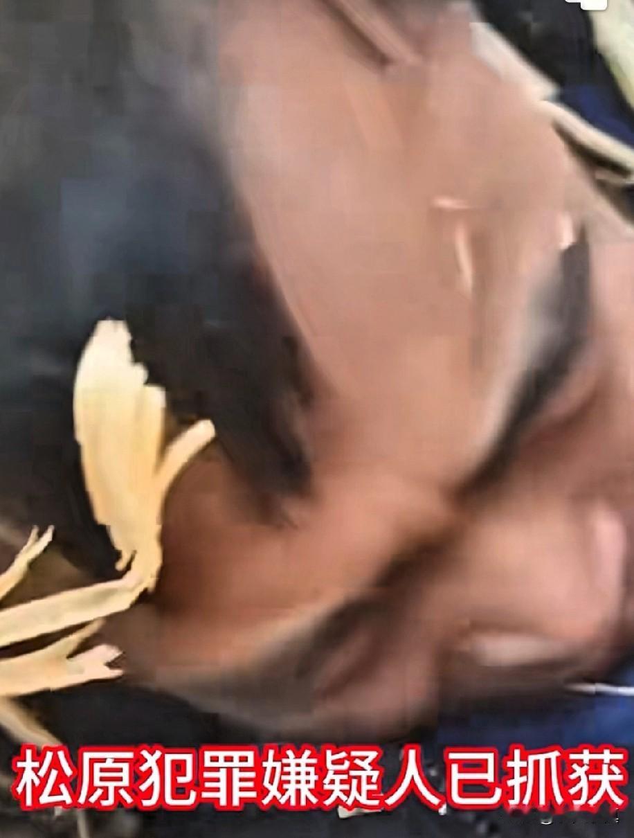 给警方点赞：72小时侦破杀人案凶手。天网恢恢，疏而不漏，松原命案凶手缉拿归案，