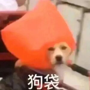#与恶魔有约#的编剧到底是哪位高人，好美丽的精神状态。剧还没过半女主被逮捕男主被
