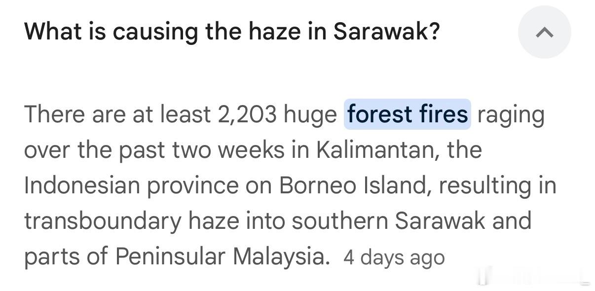 又是印尼，天气热到森林起火引发雾霾🌫️ 大半人不是咳嗽就是感冒的，还我蓝天白云