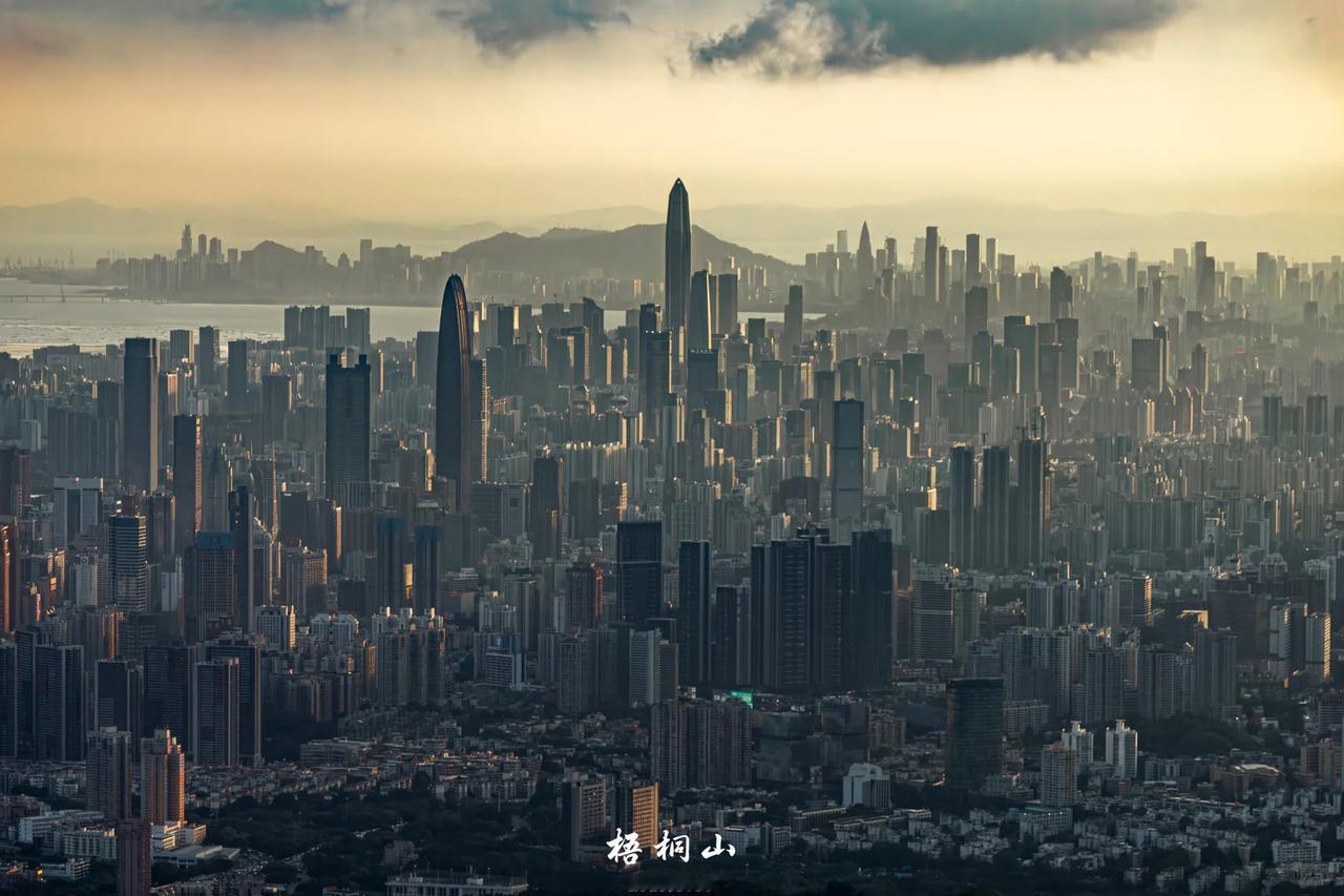 发现没？作为我国工业双料第一城，深圳第一大工业企业已经由华为公司变成了深圳工业富