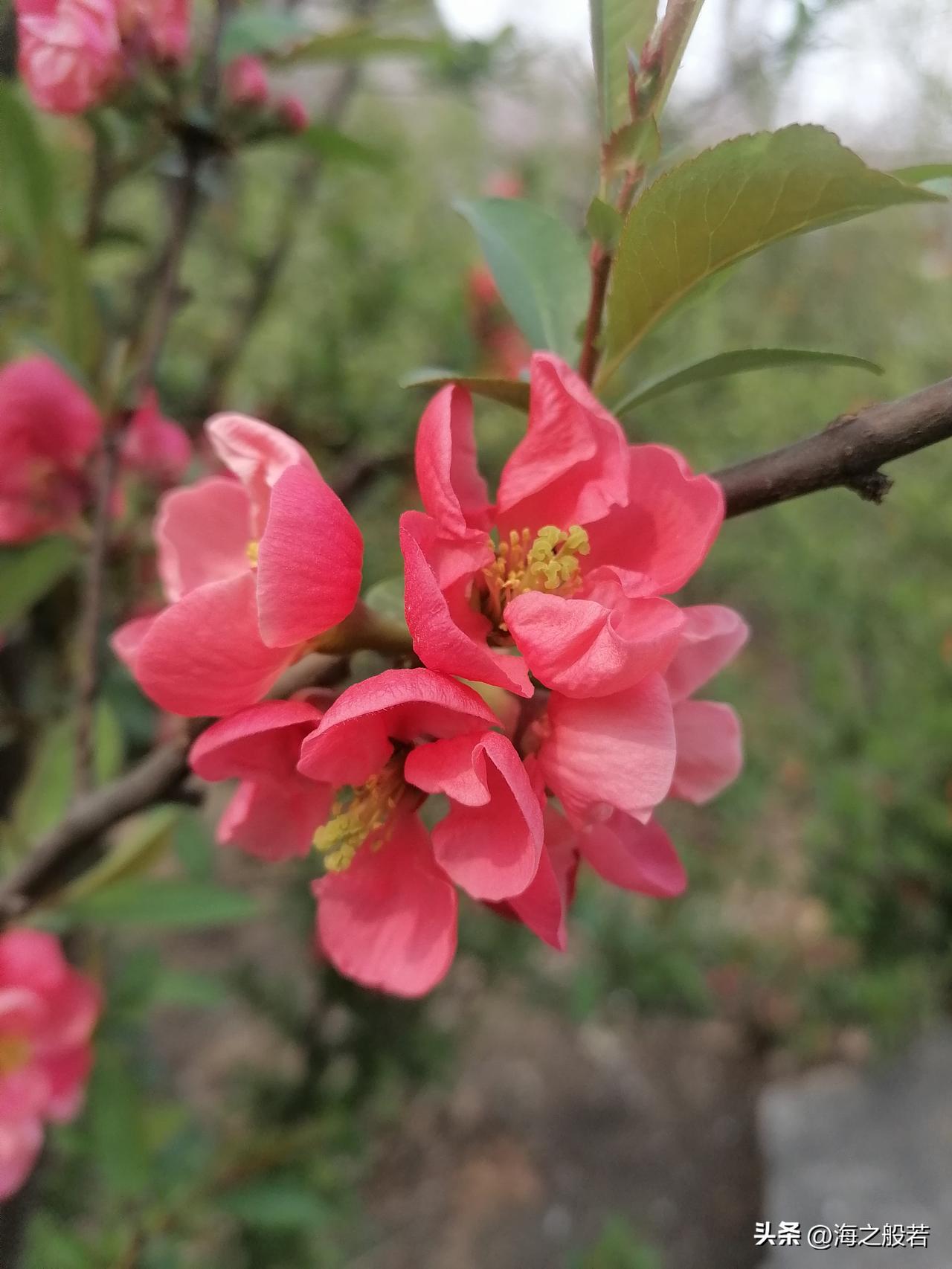 医院回应事件属实，诊疗行为符合规范

一男子因妻子由男医生做产检情绪失控，在大厅