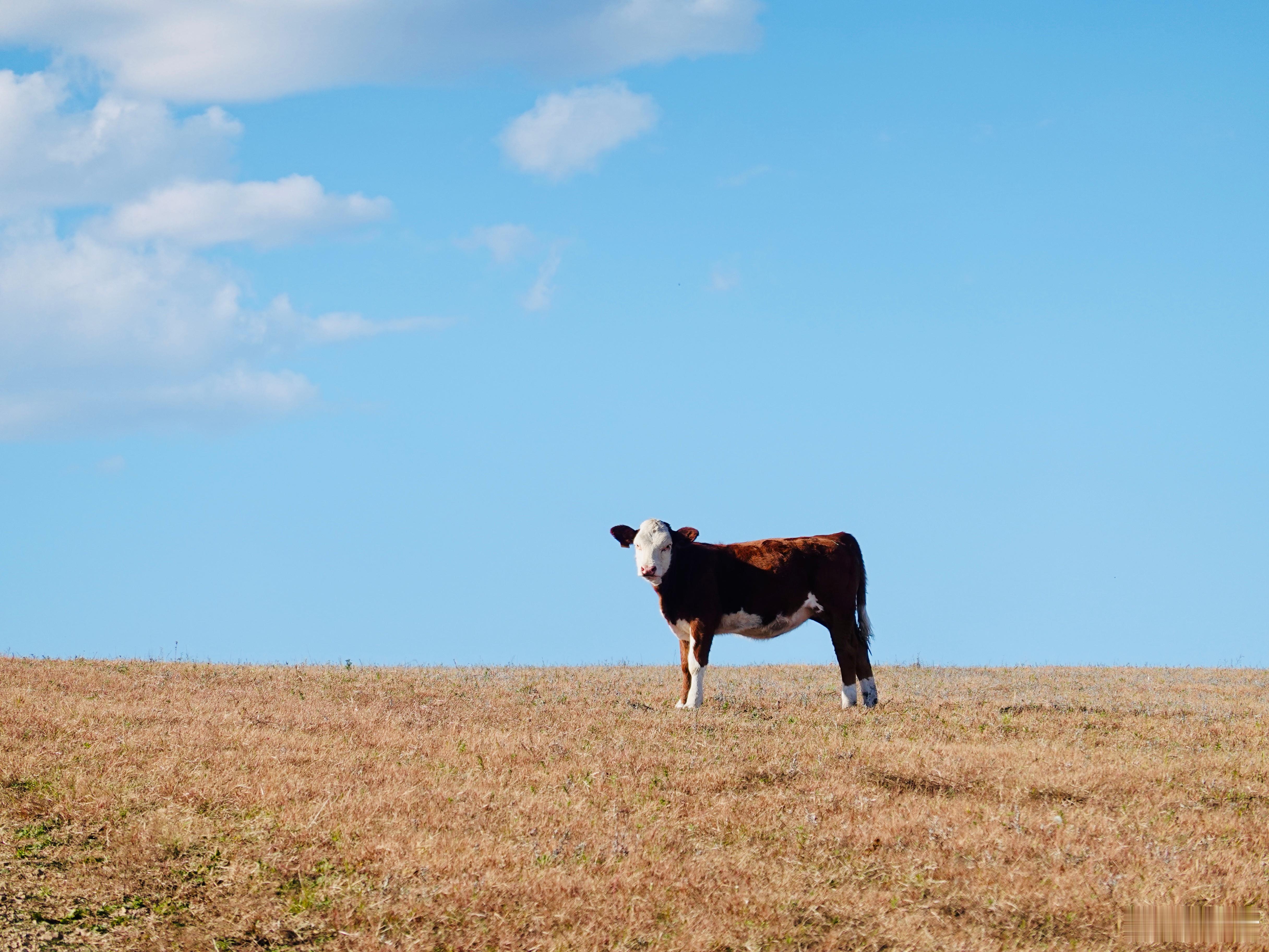 中年最好的状态不是我赢了，而是我稳了。哈哈…稳在今早默默涨了六个点。