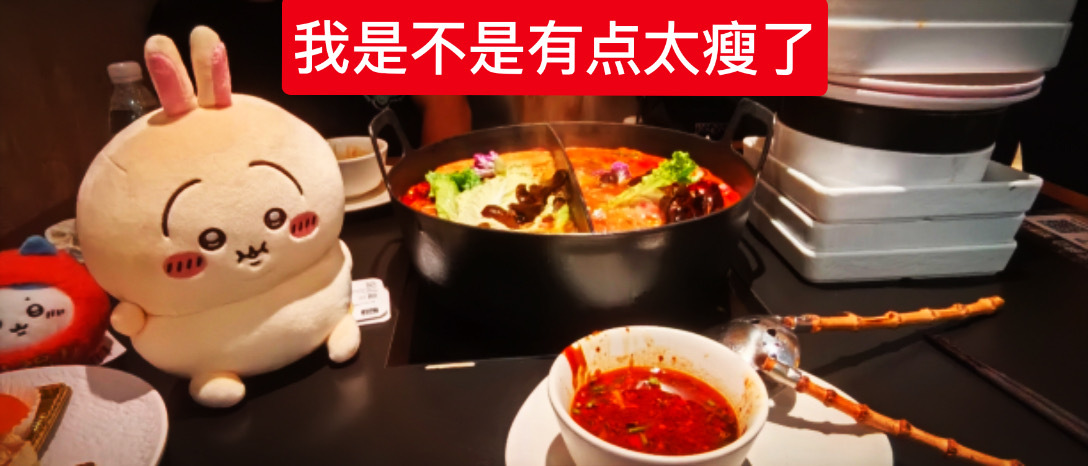 小胖猪一只！ 