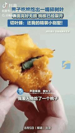 “这桃子成精了？"北京市民黎女士近日遭遇了一件稀奇事。7月18日早上，她在早市买