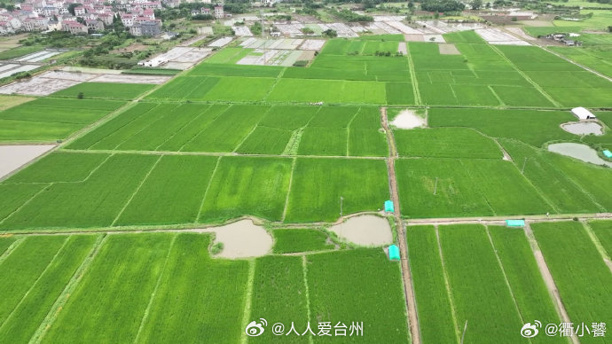 衢州稻鸭共育绿色防控模式入选全国典型案例 在衢州衢江区后溪镇泉井边村，勇仙家庭农