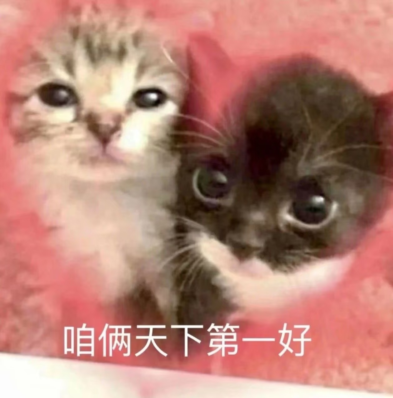 我挚爱的女神，我要爱你一辈子了 