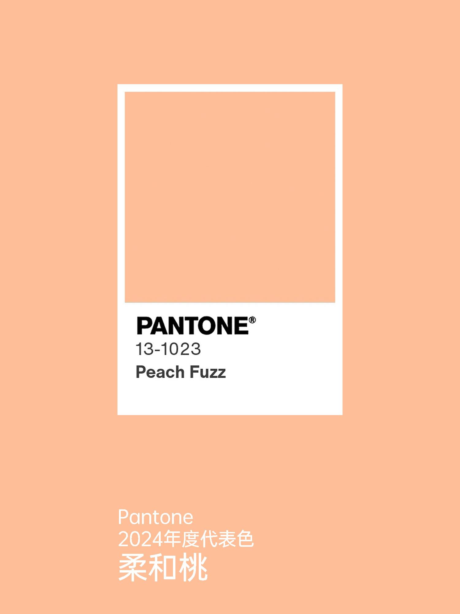 PANTONE 发布2024年度代表色 —「13-1023 Peach Fuzz