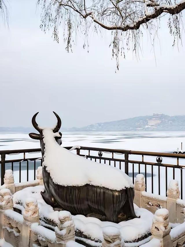 这张图片的关键的不是树留不留的问题，而是你的构图的问题。问题出在你的审美上。