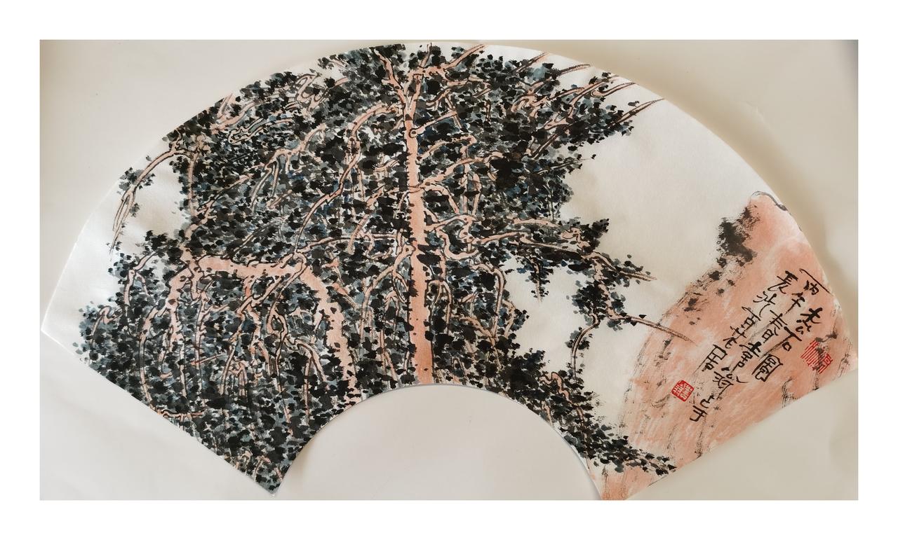 中国画《松石图》
中国画山风景 松石画卷 松石美学 张家界国家森林公园宛如水墨仙