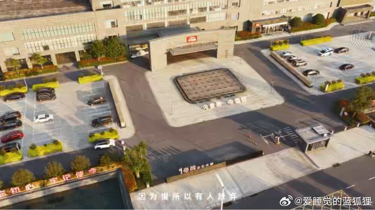 看河北麦收成了网友的顶级疗愈隆尧麦收见证真实乡村振兴，风吹麦浪满是丰收气息，当地